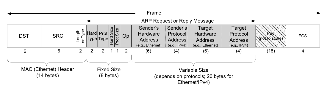 arp-frame-format.png